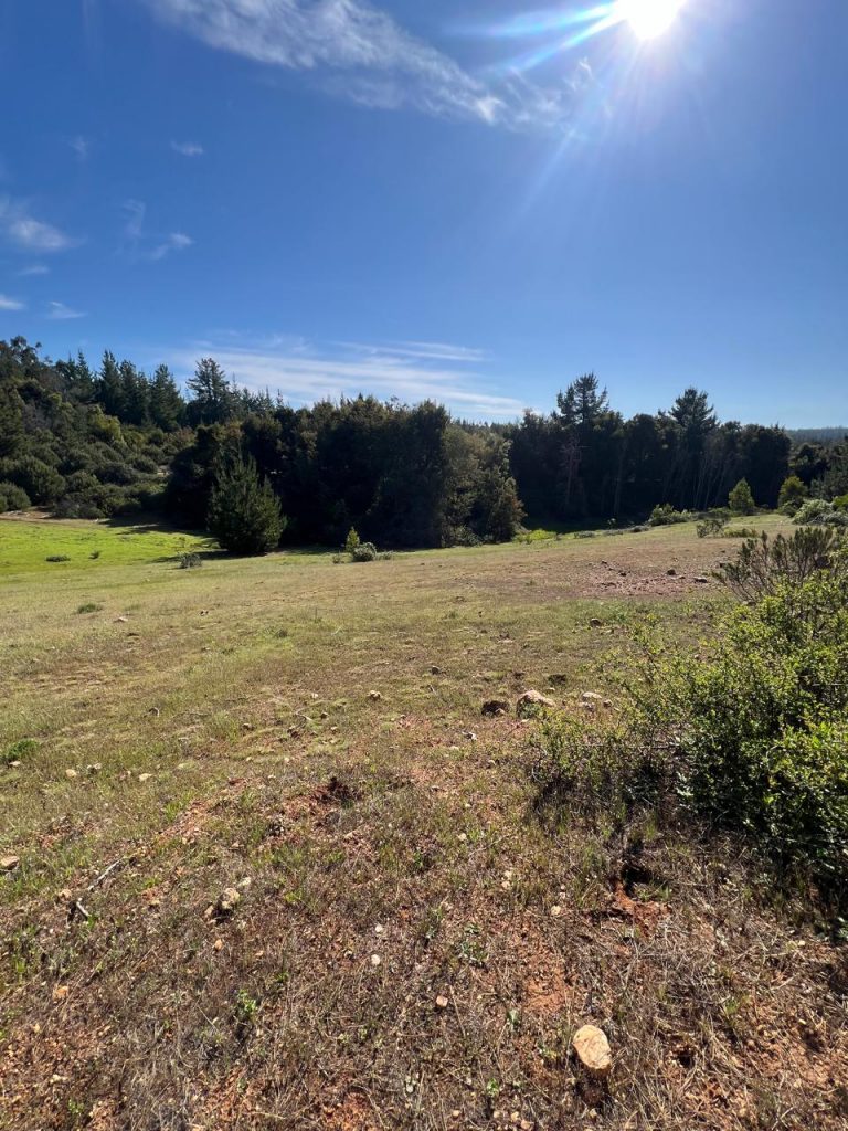 Terreno en venta en Pichilemu — foto 8
