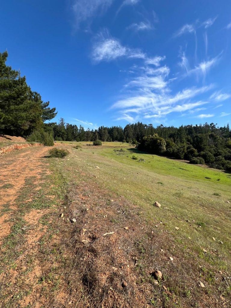 Terreno en venta en Pichilemu — foto 9