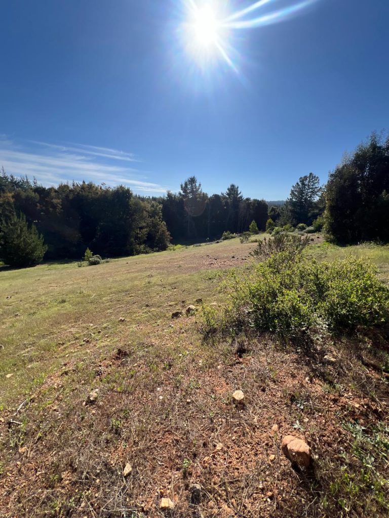 Terreno en venta en Pichilemu — foto 10