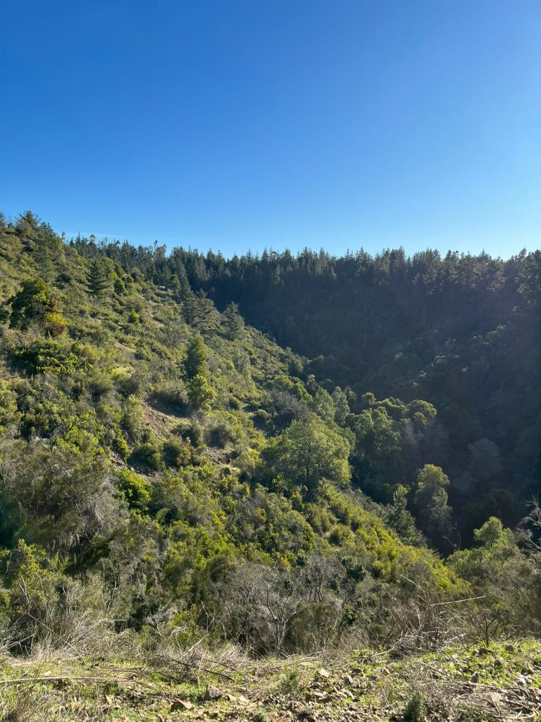 Terreno en venta en Pichilemu — foto 2