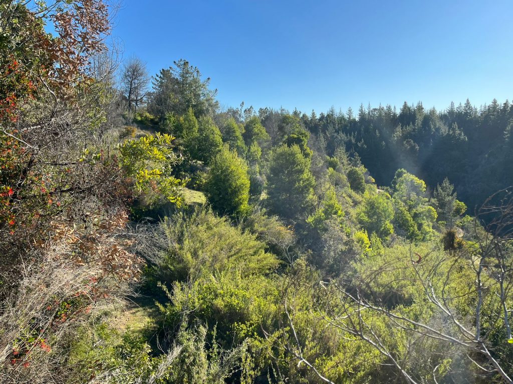 Terreno en venta en Pichilemu — foto 3