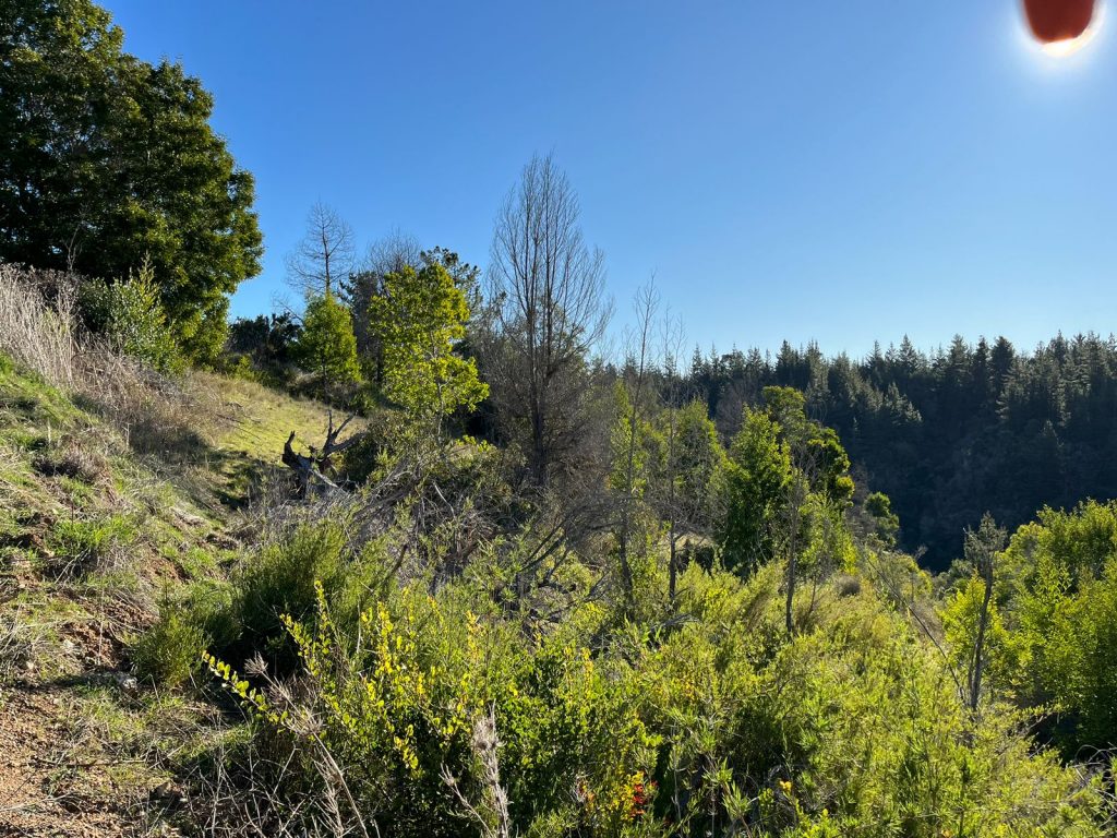Terreno en venta en Pichilemu — foto 4