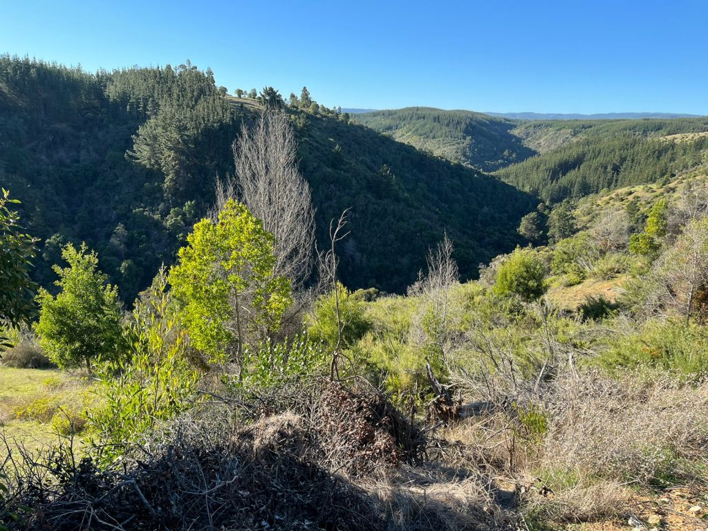 Terreno en venta en Pichilemu — foto 5