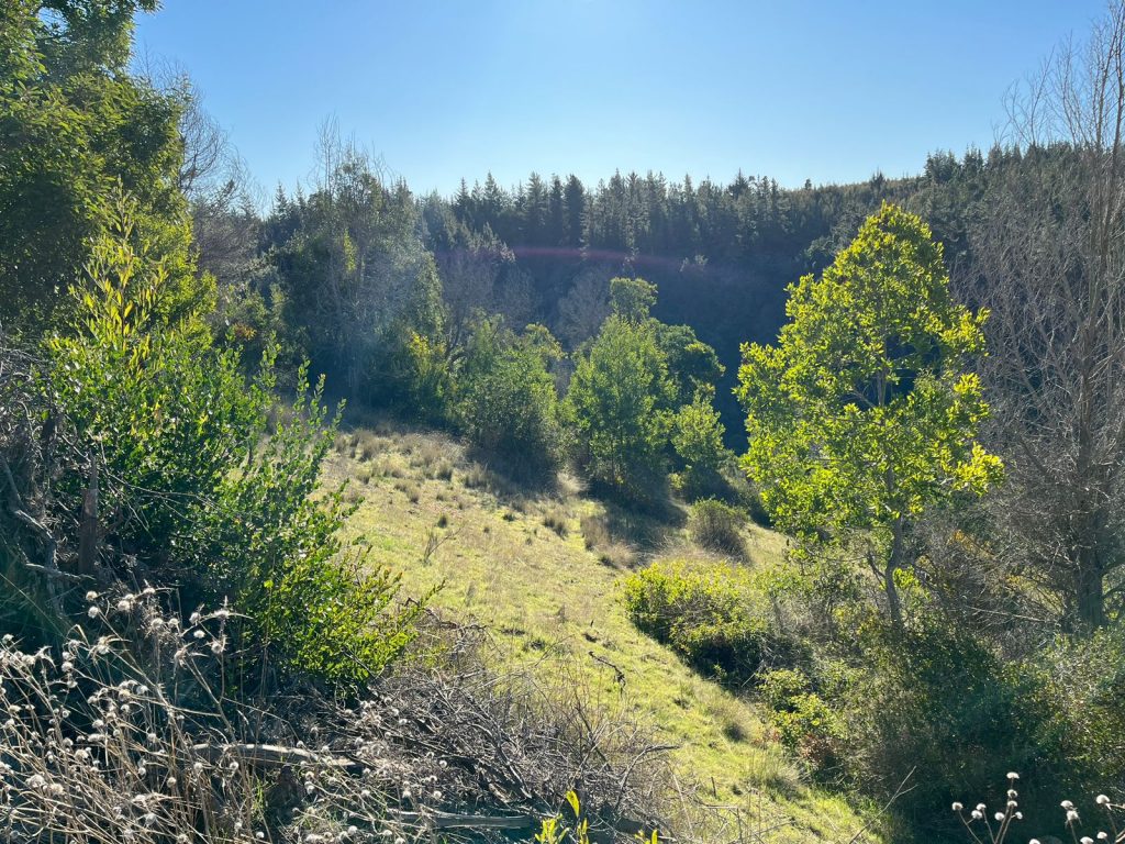 Terreno en venta en Pichilemu — foto 6