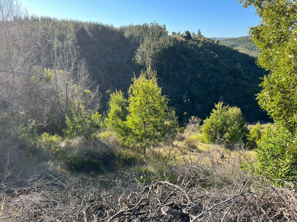 Terreno en venta en Pichilemu — foto 7