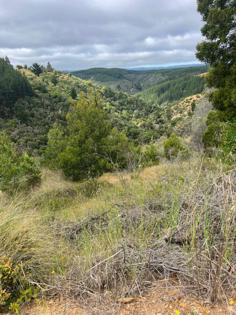 Terreno en venta en Pichilemu — foto 9