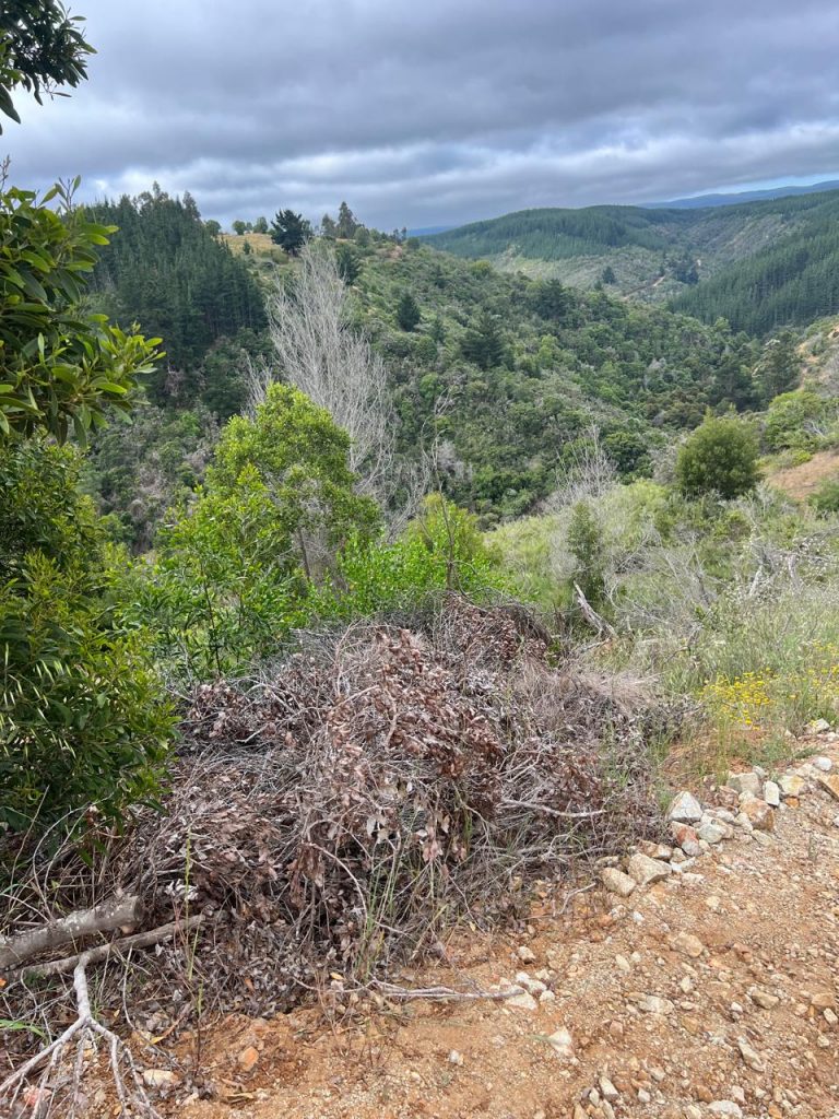 Terreno en venta en Pichilemu — foto 10