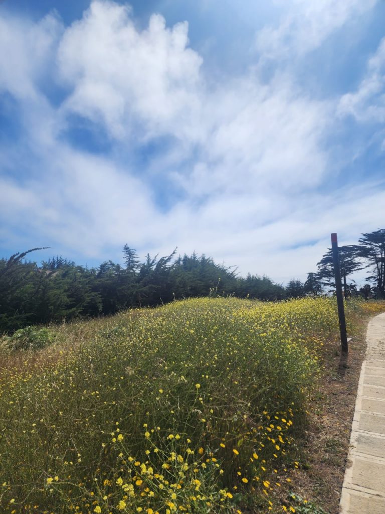 Terreno en venta en Pichilemu — foto 3