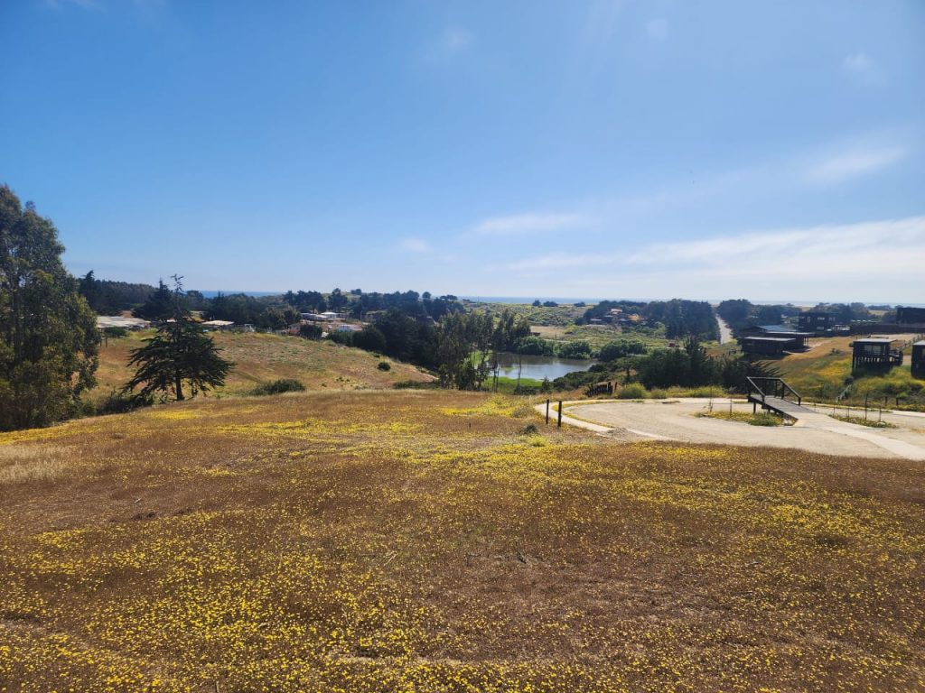 Terreno en venta en Pichilemu — foto 4