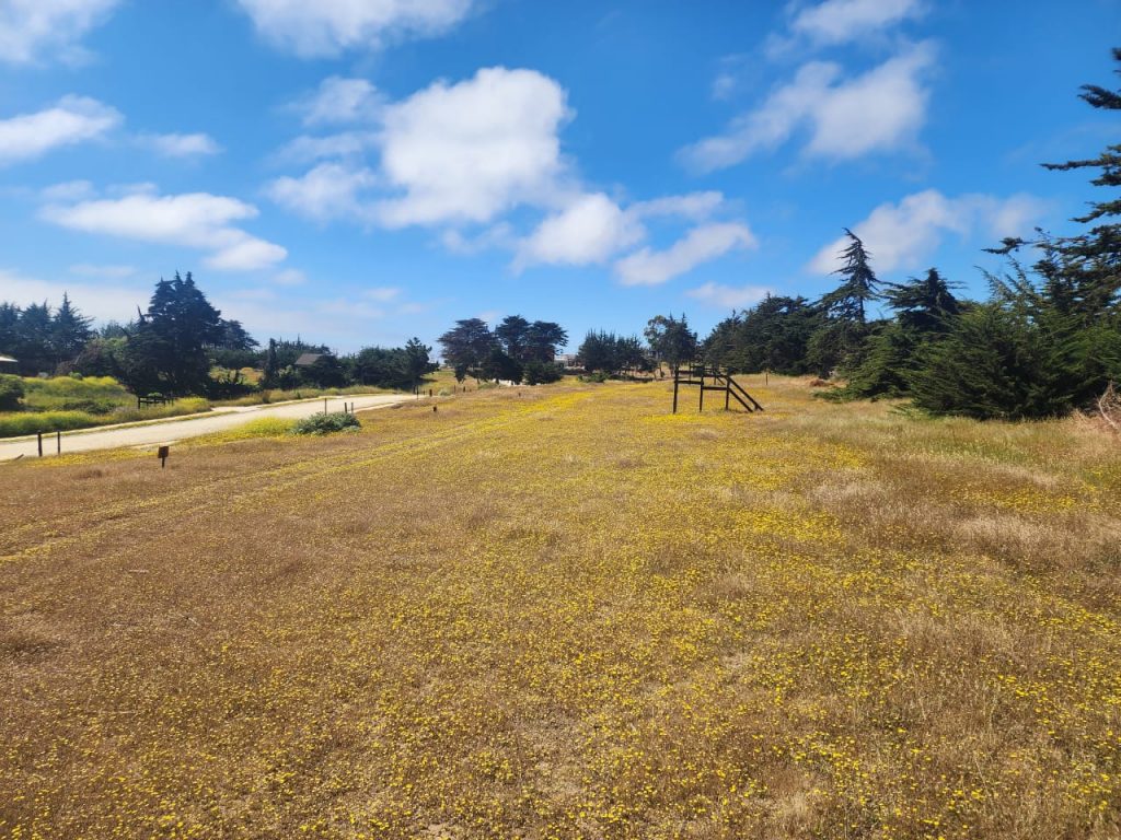 Terreno en venta en Pichilemu — foto 5