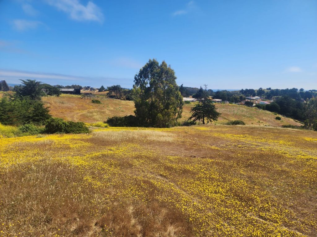 Terreno en venta en Pichilemu — foto 6