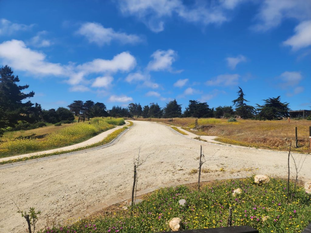Terreno en venta en Pichilemu — foto 8