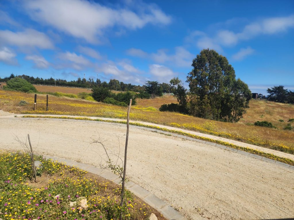 Terreno en venta en Pichilemu — foto 9