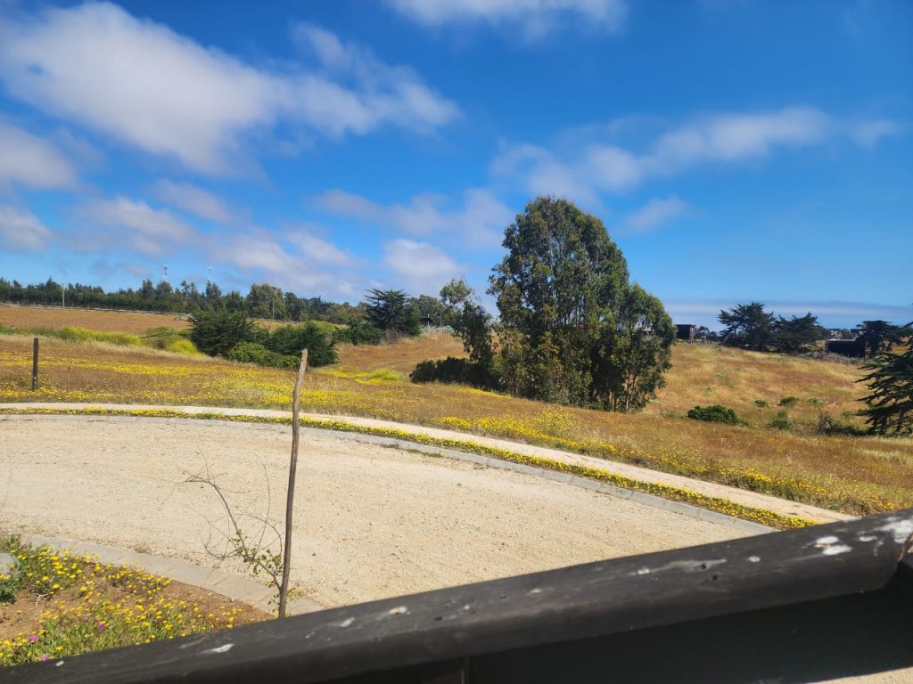 Terreno en venta en Pichilemu — foto 10