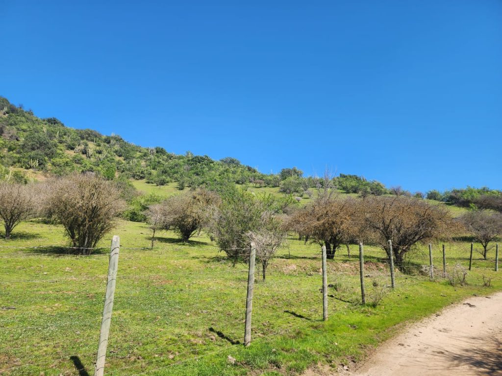 Terreno en venta en Las Cabras — foto 2
