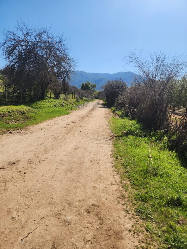 Terreno en venta en Las Cabras — foto 3