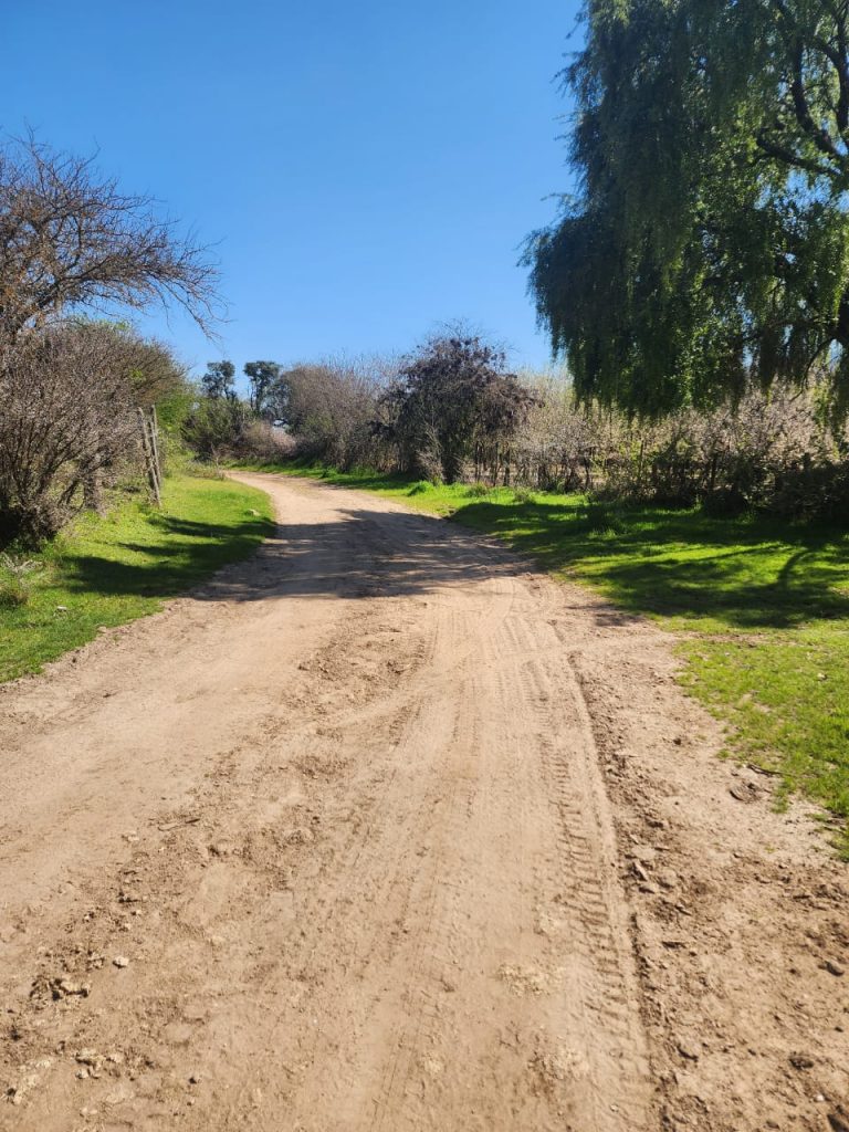 Terreno en venta en Las Cabras — foto 4
