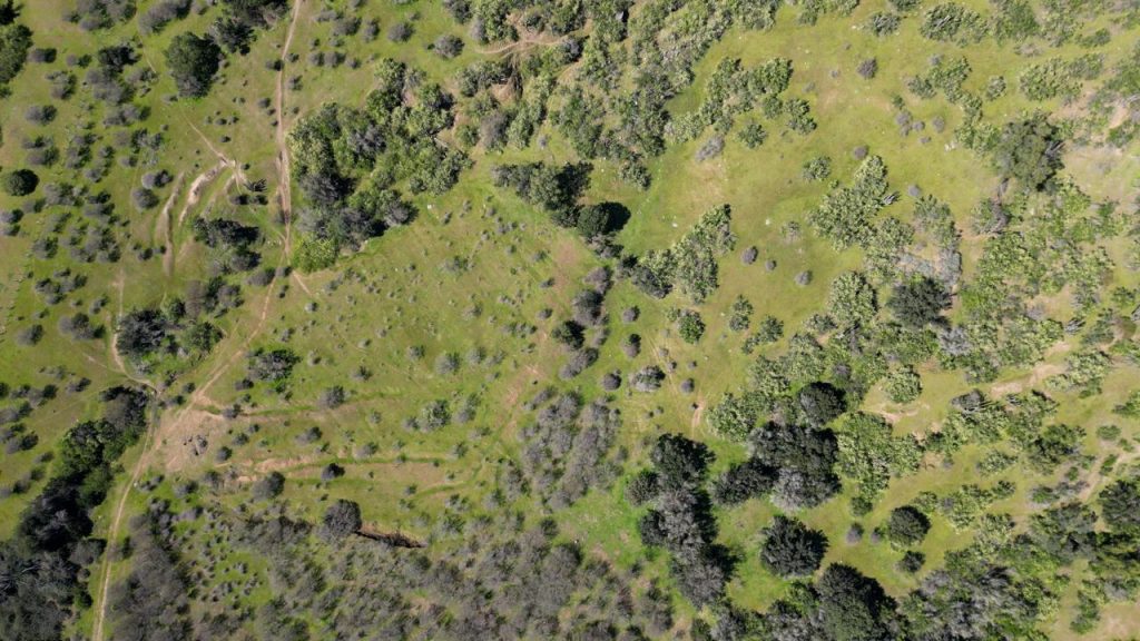 Terreno en venta en Las Cabras — foto 8