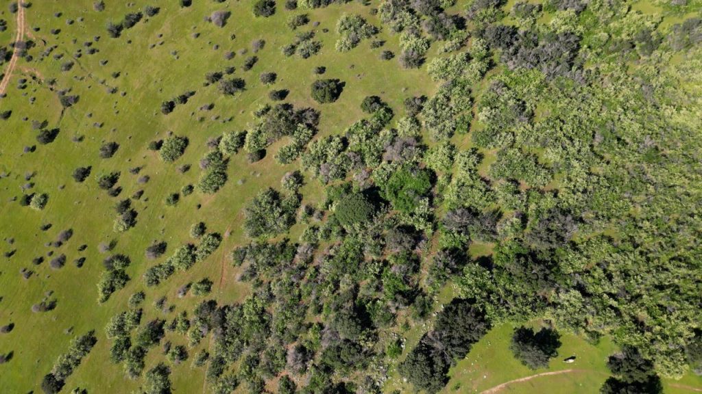 Terreno en venta en Las Cabras — foto 9