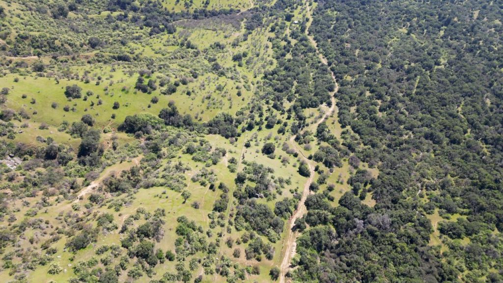 Terreno en venta en Las Cabras — foto 10