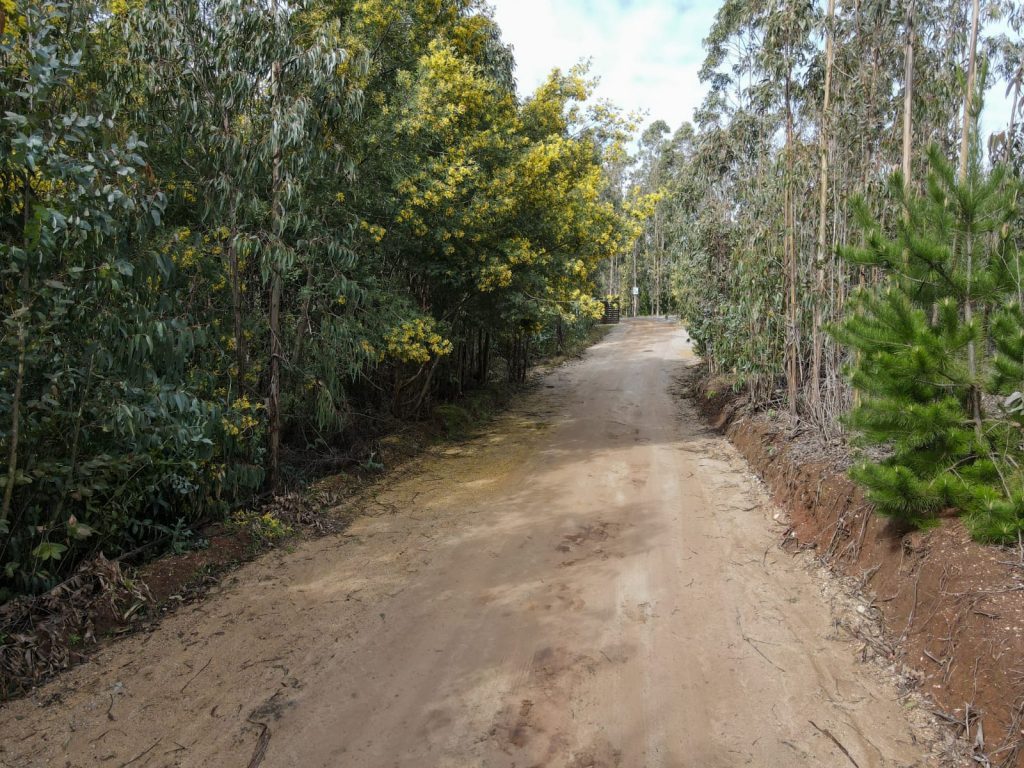 Terreno en venta en Pichilemu — foto 5