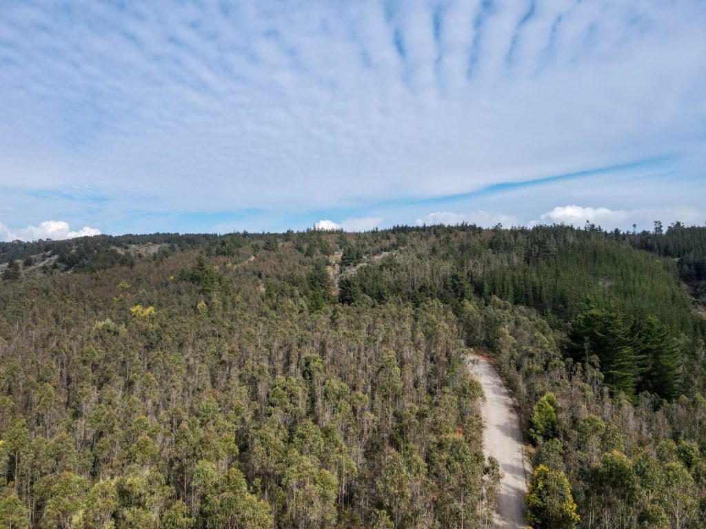 Terreno en venta en Pichilemu — foto 6