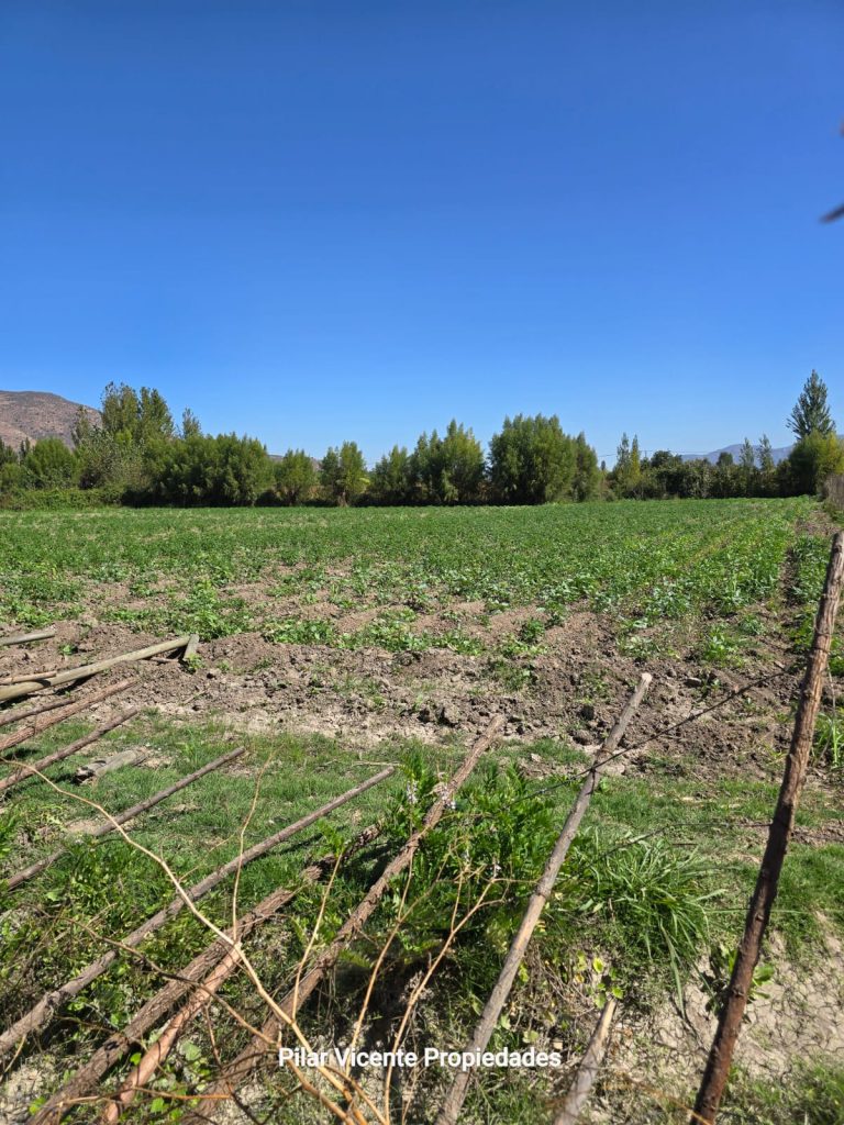 Terreno en venta en Coltauco — foto 1