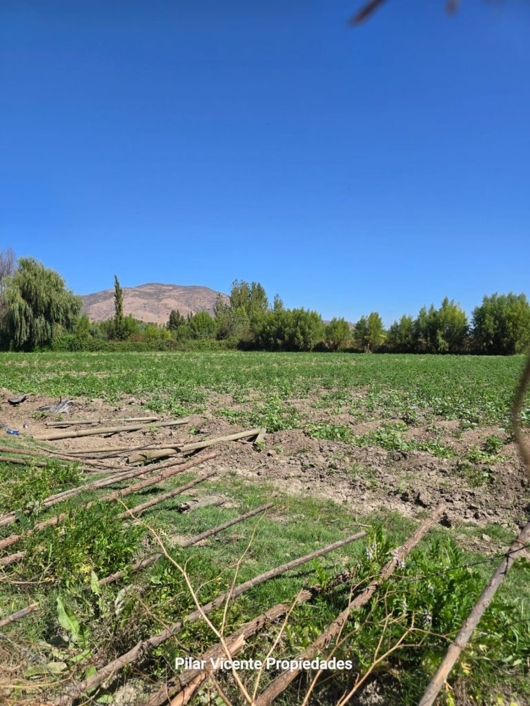 Terreno en venta en Coltauco — foto 3