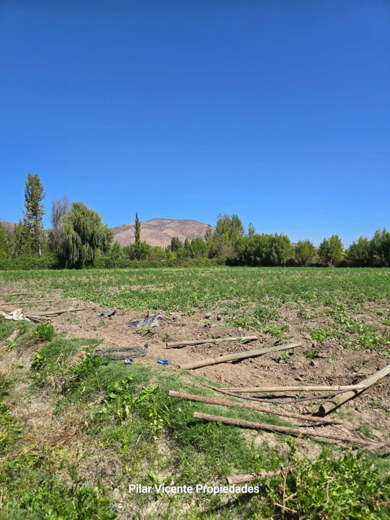 Terreno en venta en Coltauco — foto 4