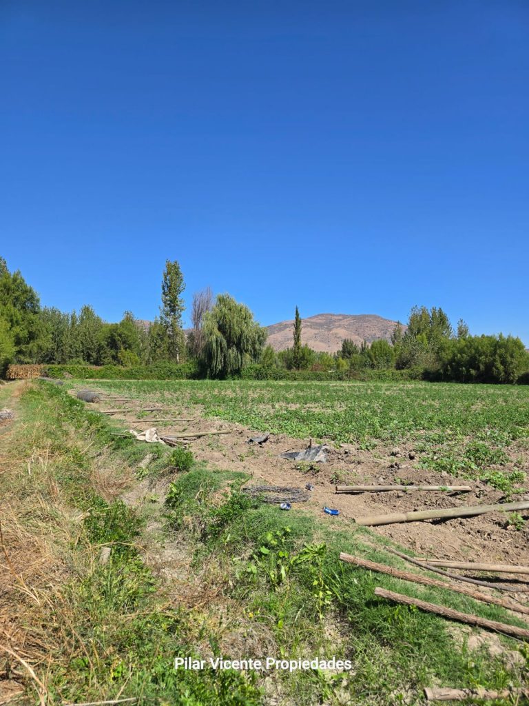 Terreno en venta en Coltauco — foto 5