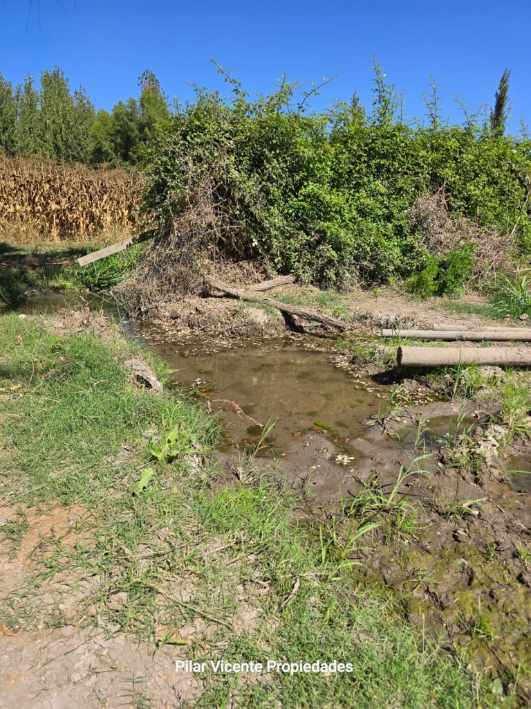 Terreno en venta en Coltauco — foto 6