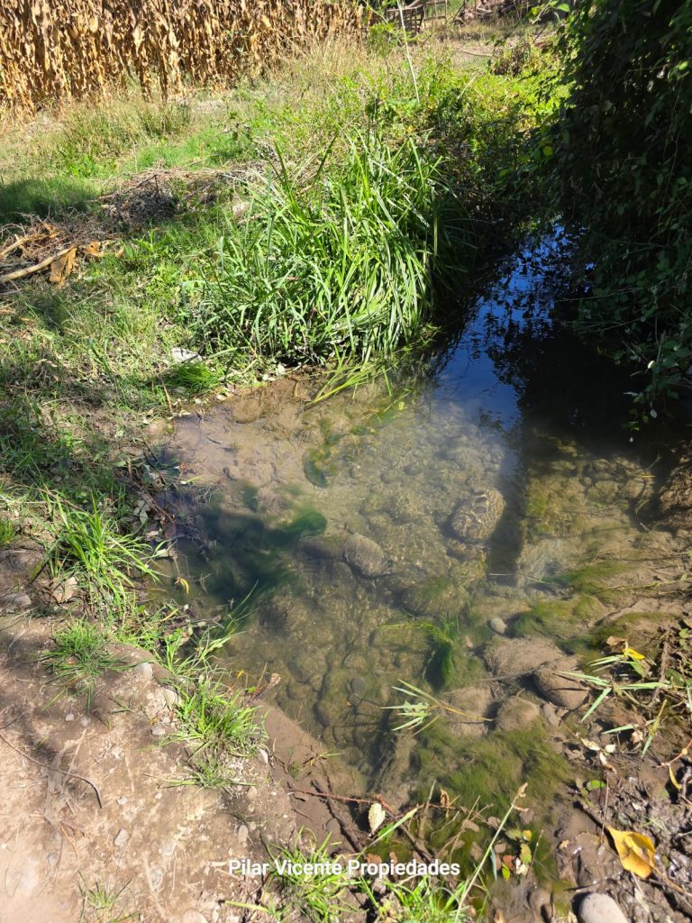 Terreno en venta en Coltauco — foto 7