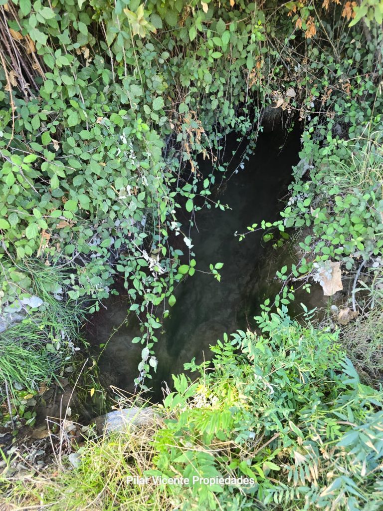Terreno en venta en Coltauco — foto 10