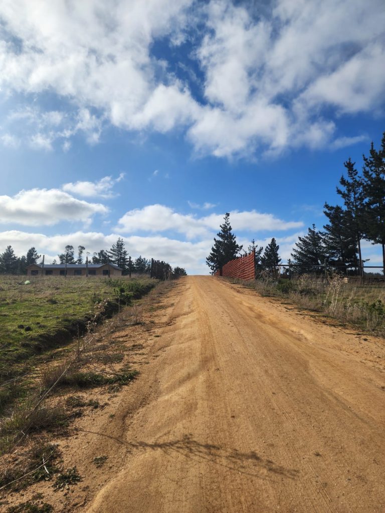 Terreno en venta en Pichilemu — foto 4