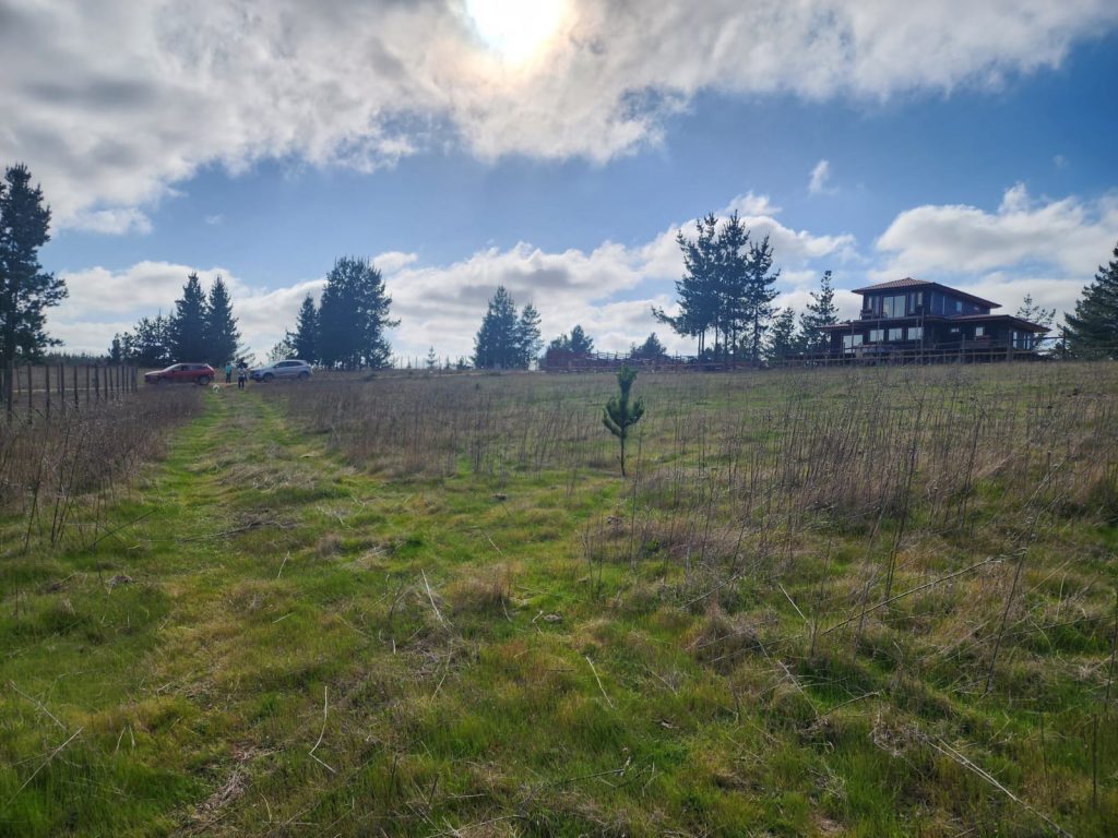 Terreno en venta en Pichilemu — foto 5