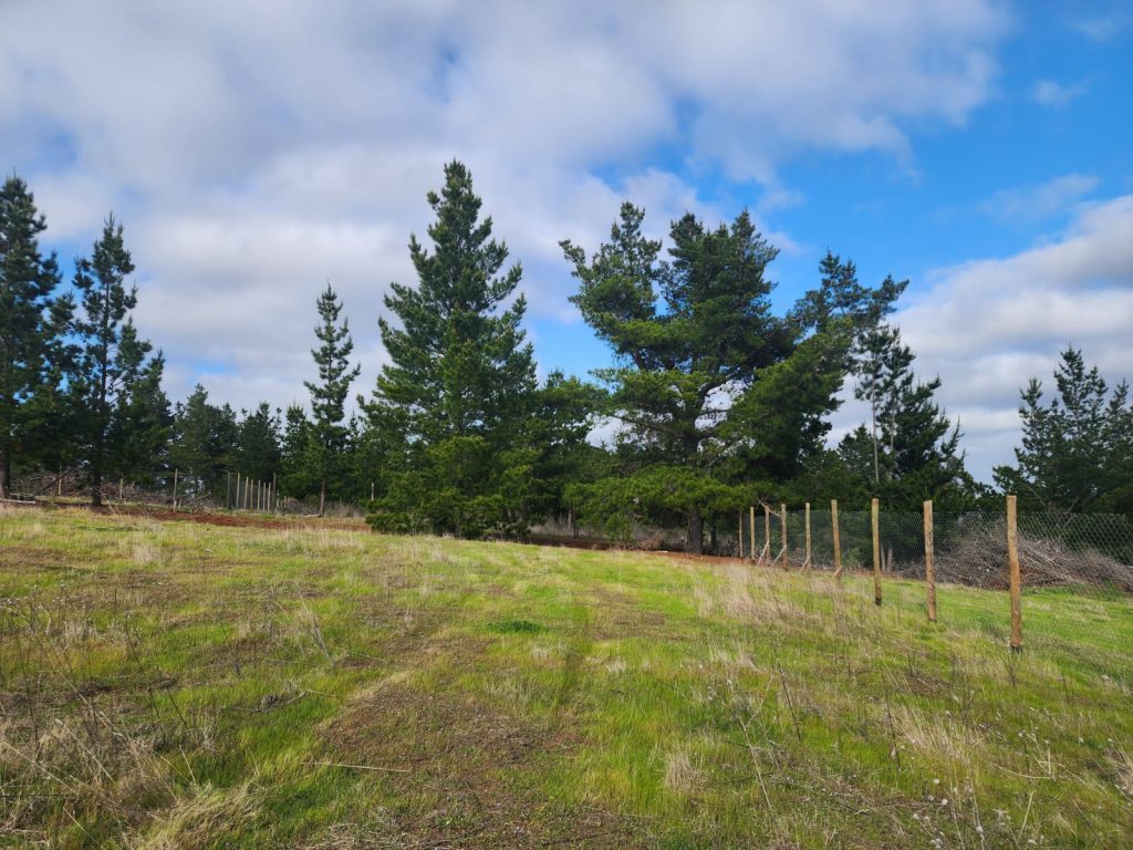 Terreno en venta en Pichilemu — foto 6