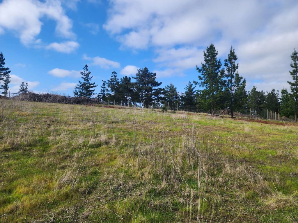 Terreno en venta en Pichilemu — foto 7