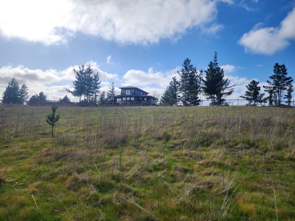 Terreno en venta en Pichilemu — foto 8