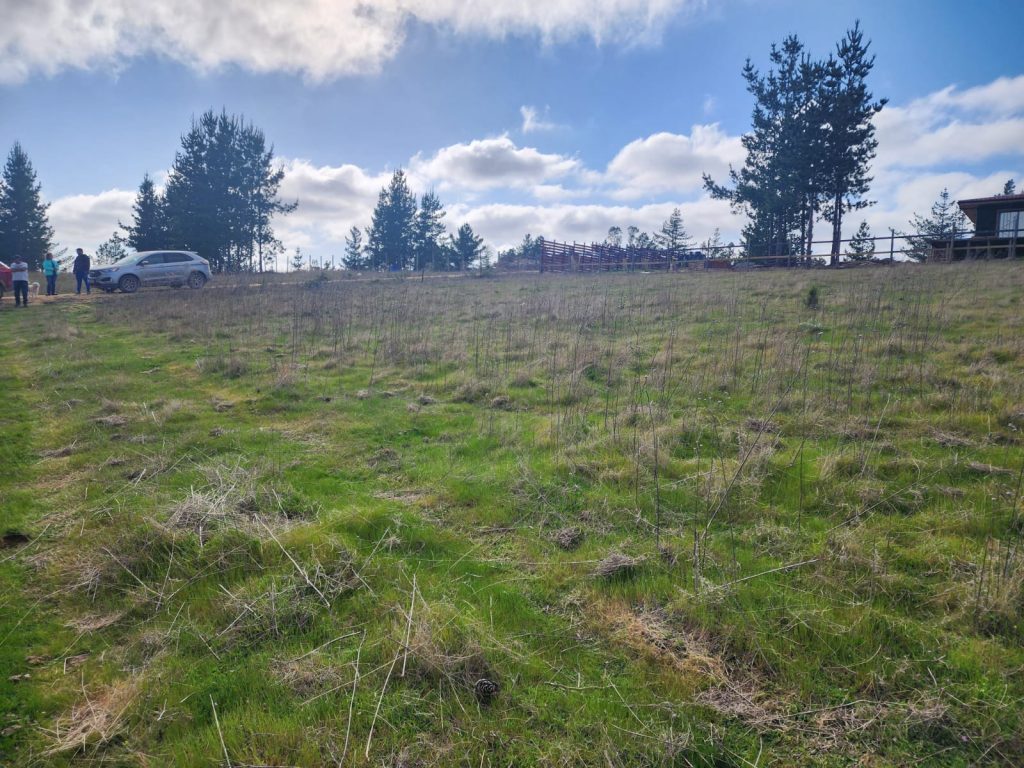 Terreno en venta en Pichilemu — foto 9