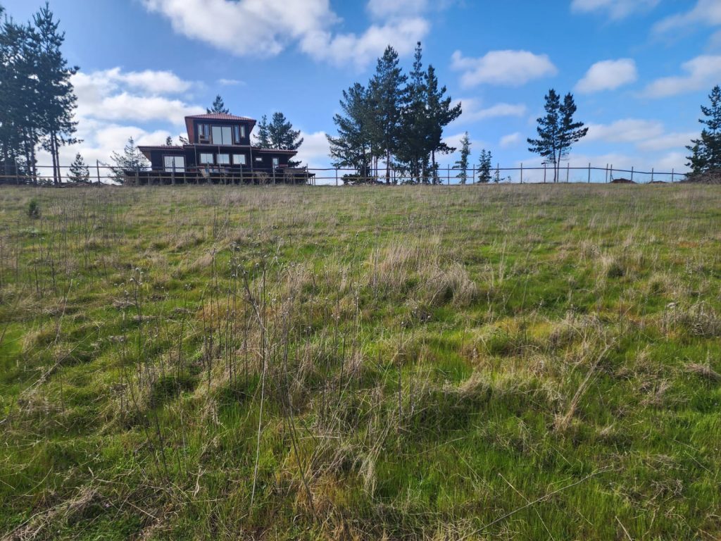 Terreno en venta en Pichilemu — foto 10