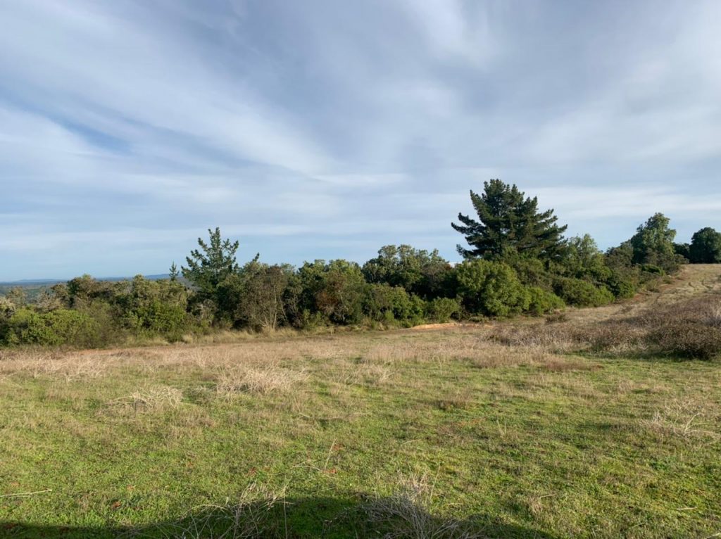 Terreno en venta en Puertecillo — foto 1
