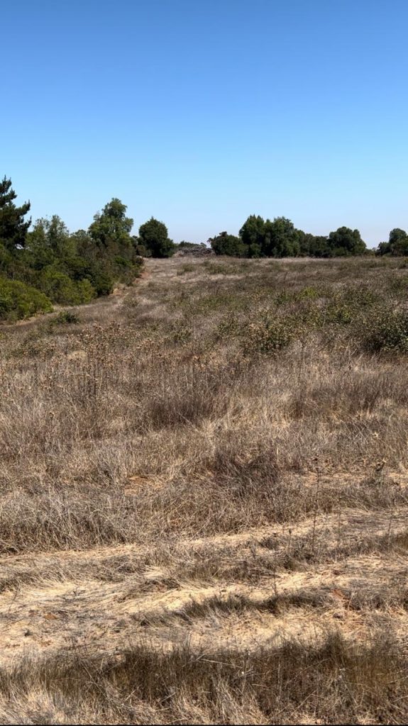 Terreno en venta en Puertecillo — foto 3