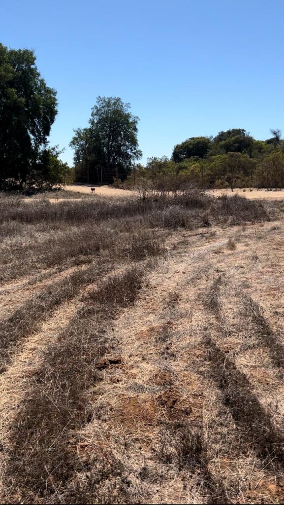 Terreno en venta en Puertecillo — foto 5
