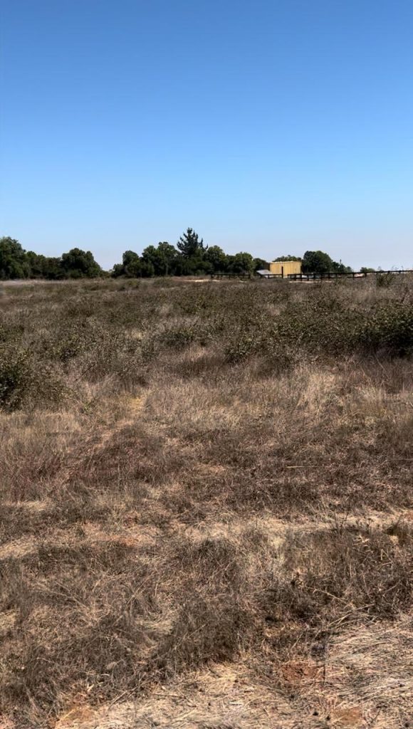 Terreno en venta en Puertecillo — foto 6