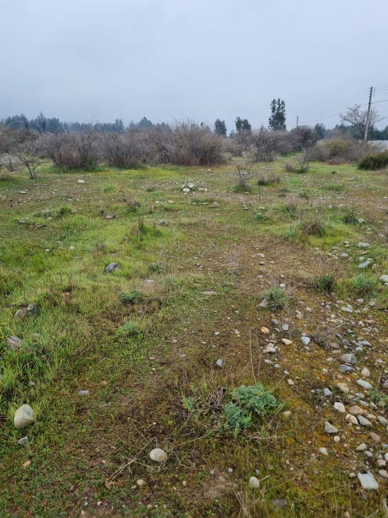 Terreno en venta en Codegua — foto 1