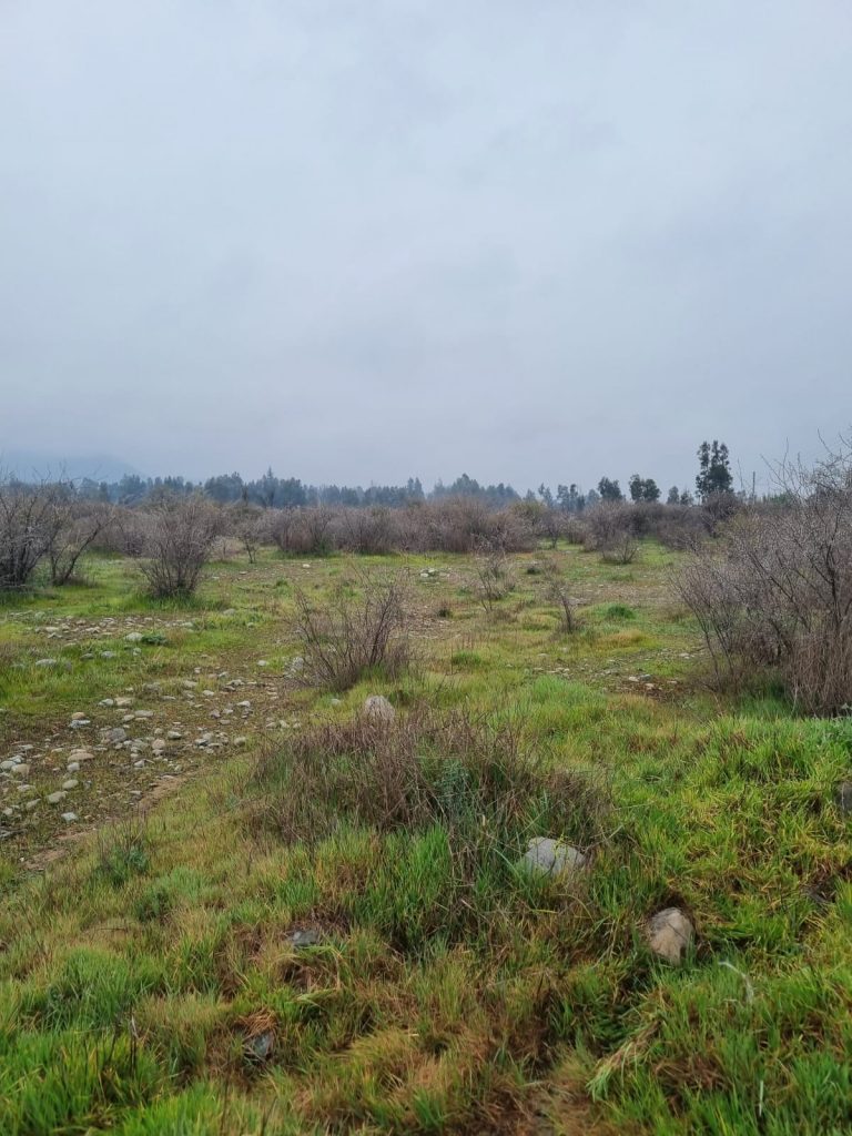 Terreno en venta en Codegua — foto 3