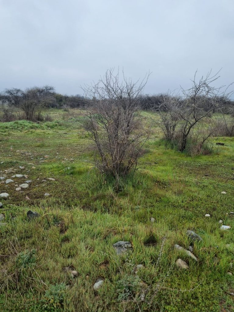Terreno en venta en Codegua — foto 5