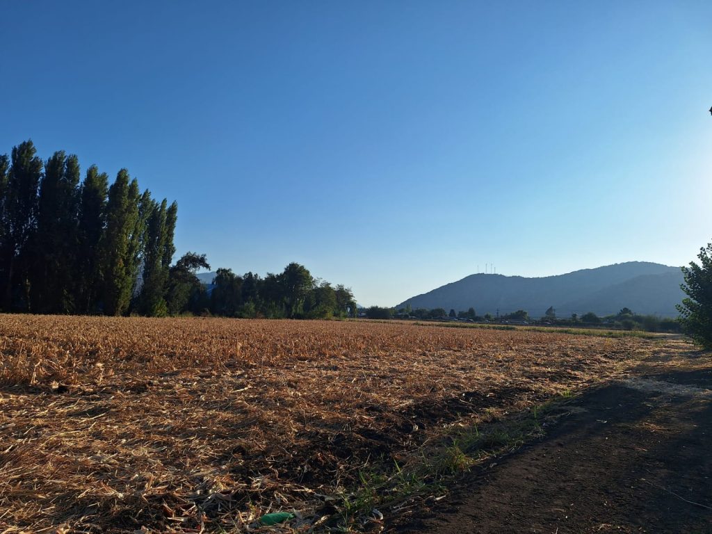 Terreno en venta en Malloa — foto 4