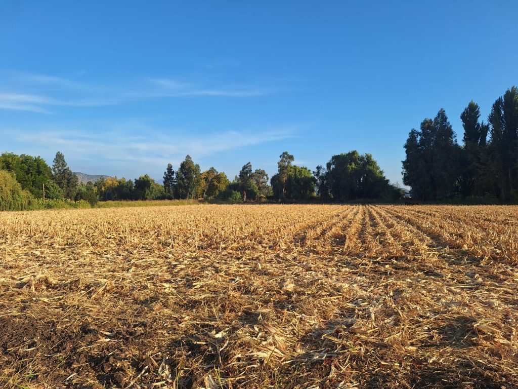 Terreno en venta en Malloa — foto 5