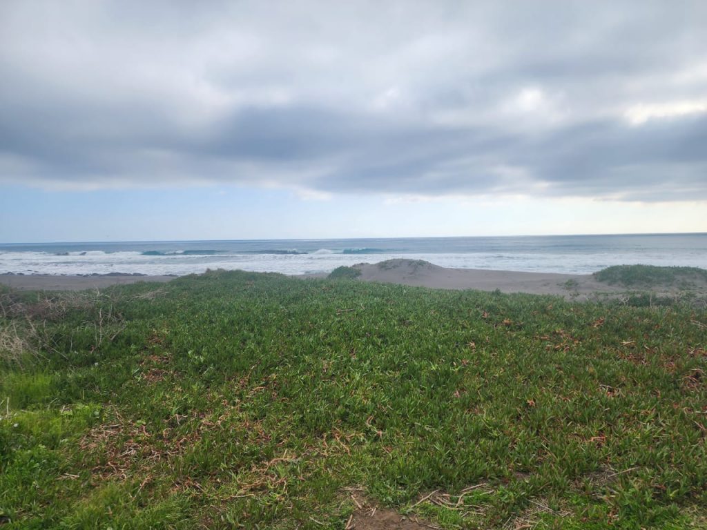 Terreno en venta en Pichilemu — foto 2